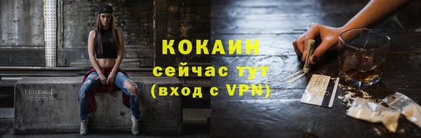 эйфоретик Богданович