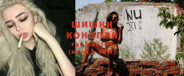 эйфоретик Богданович