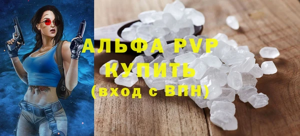 эйфоретик Богданович